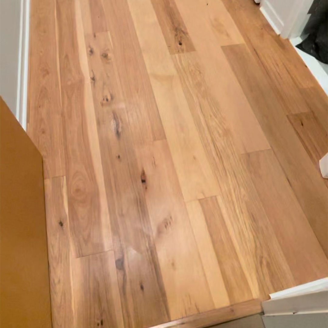 Premium carpet installation